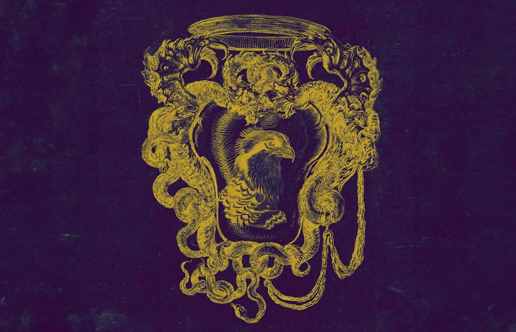 GRIZFOLK-RAREST-OF-BIRDS